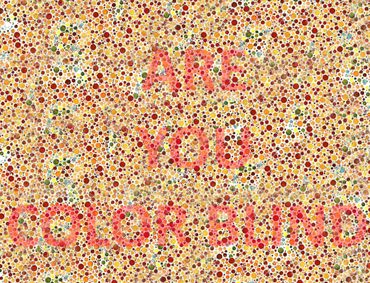 Are you designing for only 85% of your audience? Designing a better web experience for color blind audience!